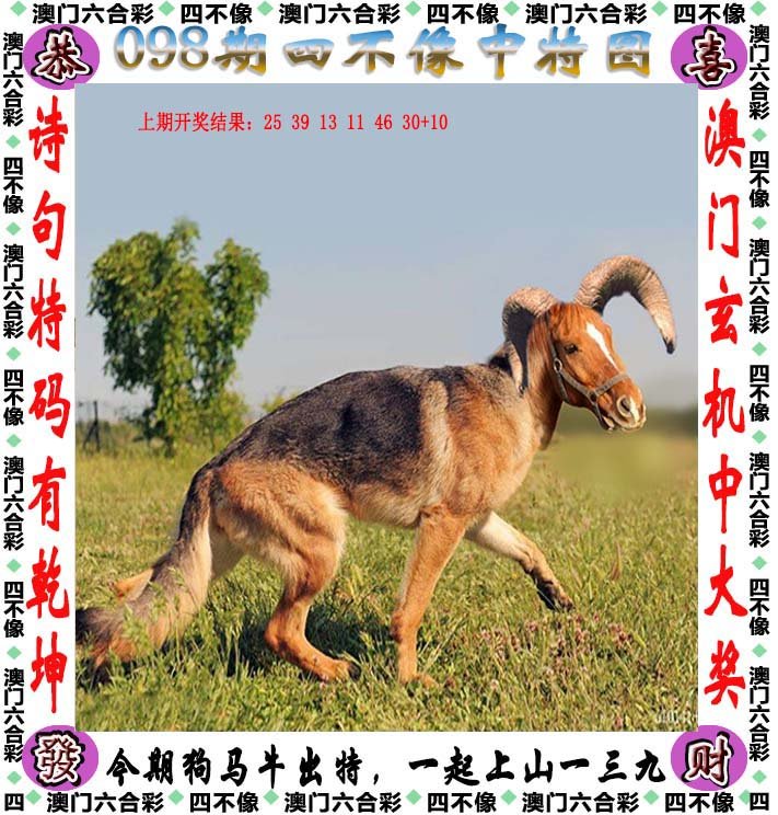 2025澳门精准正版免费四不像与777778888精准免费四肖2025年,的警惕虚假宣传-全面释义、解释与落实