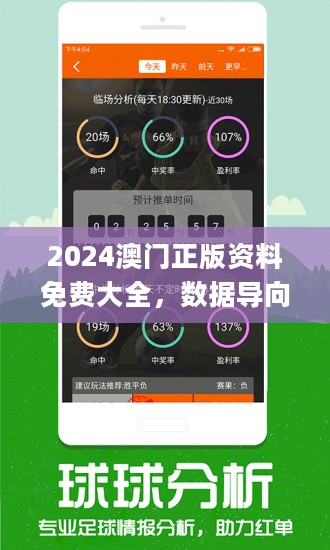 2025年新澳今晚资料与澳门管家婆100%精准,精选解析、解释与落实